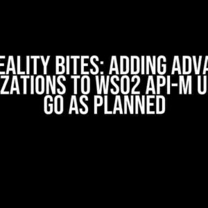 When Reality Bites: Adding Advanced UI Customizations to WSO2 API-M UIs Didn’t Go as Planned